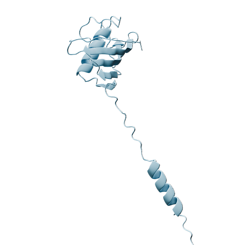 Human CST5 (C-6His, HEK293)